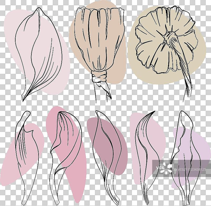 手绘墨水荷花莲蓬合集图片素材