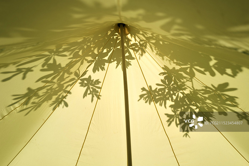 露营帐篷上的阳光树影图片素材