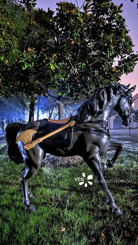 战马夜归图片素材