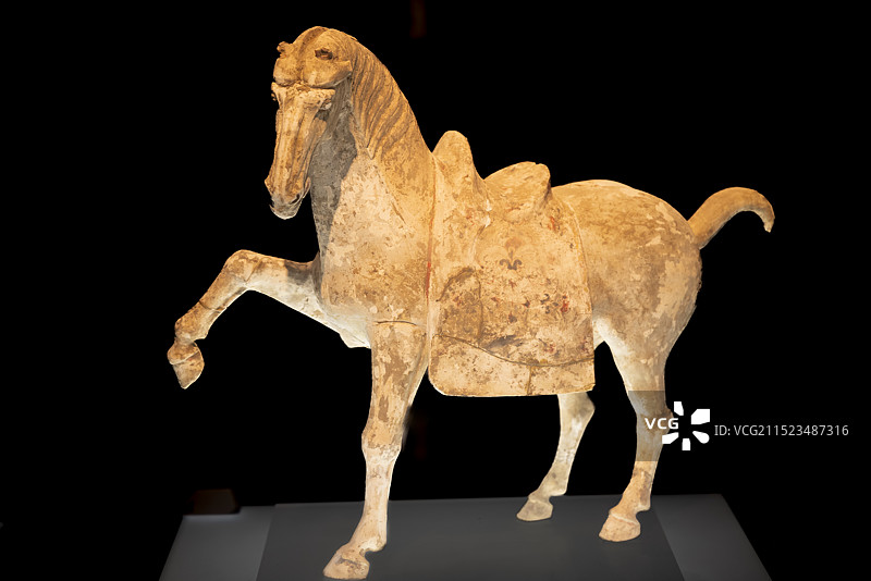 河南省洛阳市博物馆馆藏文物，唐代，彩绘贴金陶马图片素材