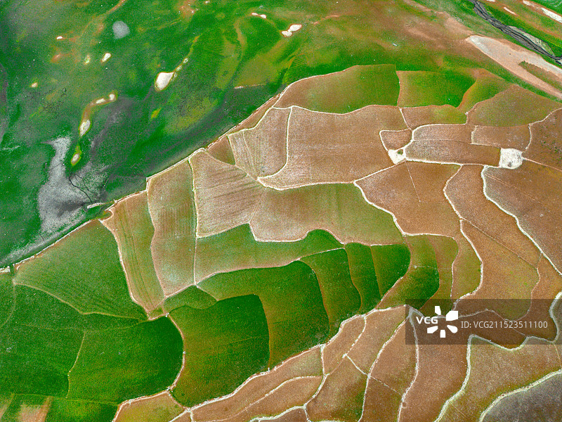 太湖县罗溪村五彩块状草地图片素材