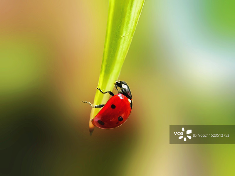 努力向上！图片素材