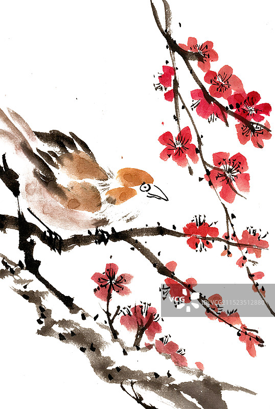 梅花枝上的小鸟图片素材