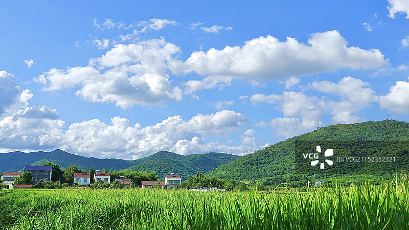 夏日的乡村，在蓝天白云下的岁月静好之美图片素材
