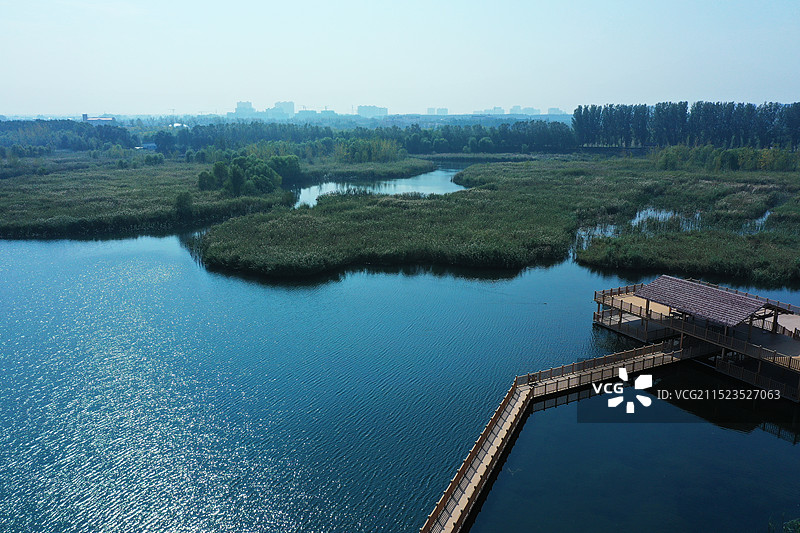华北明珠白洋淀雄安新区湿地公园湿地公园图片素材