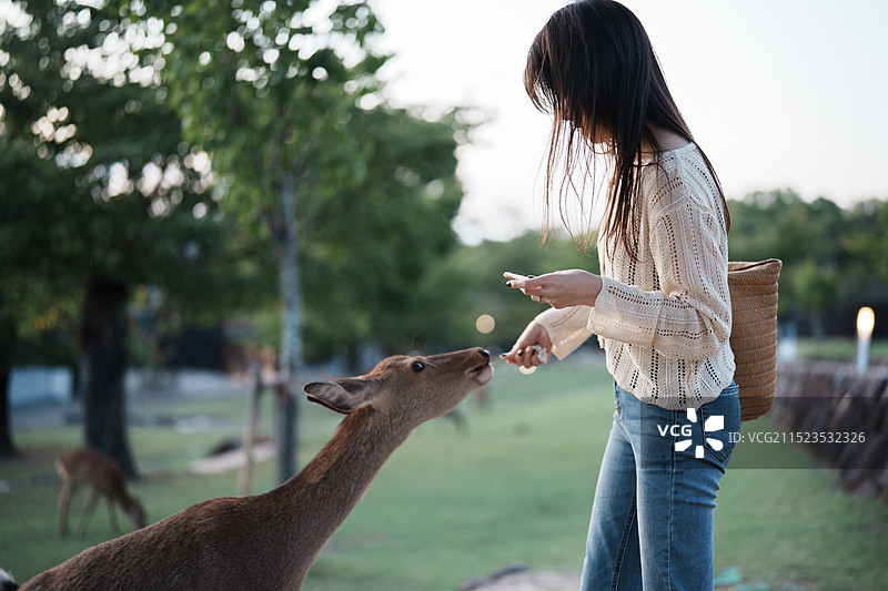 奈良若草山图片素材