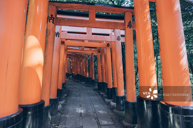 伏见稻荷大社图片素材