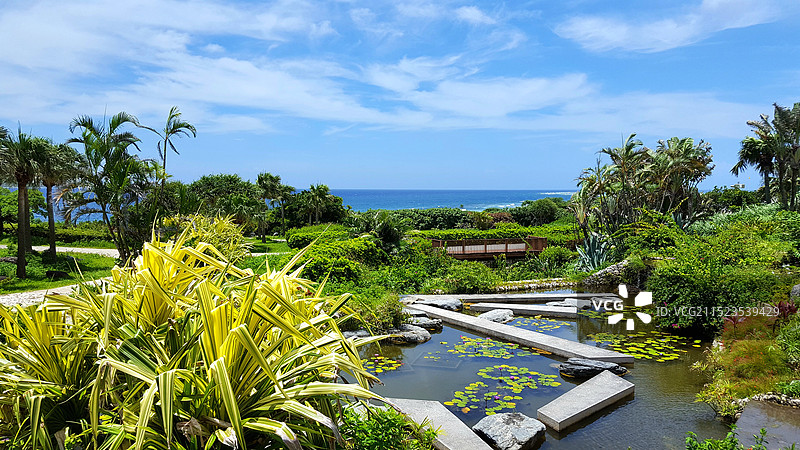 日本冲绳县国头郡本部町，海洋博公园图片素材
