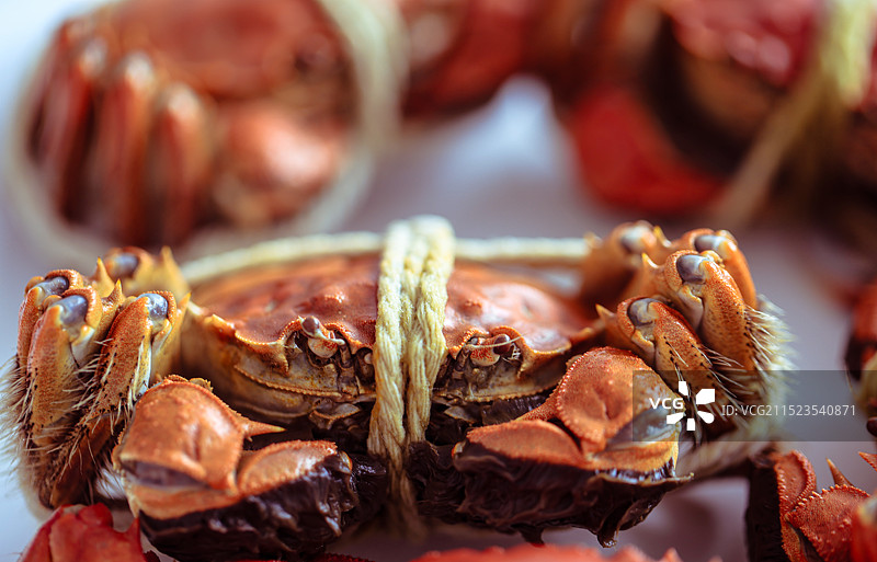 尝鲜阳澄湖大闸蟹图片素材