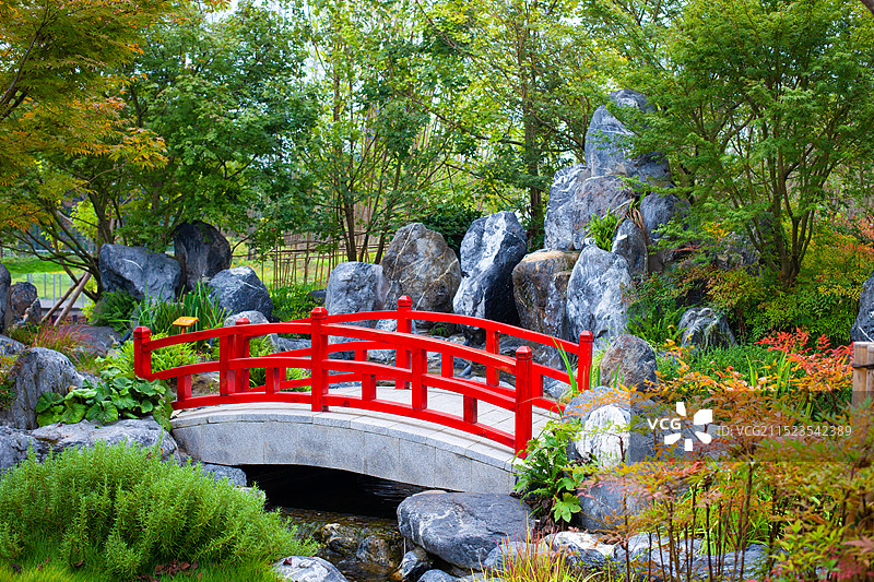 红色的桥和绿色植物图片素材