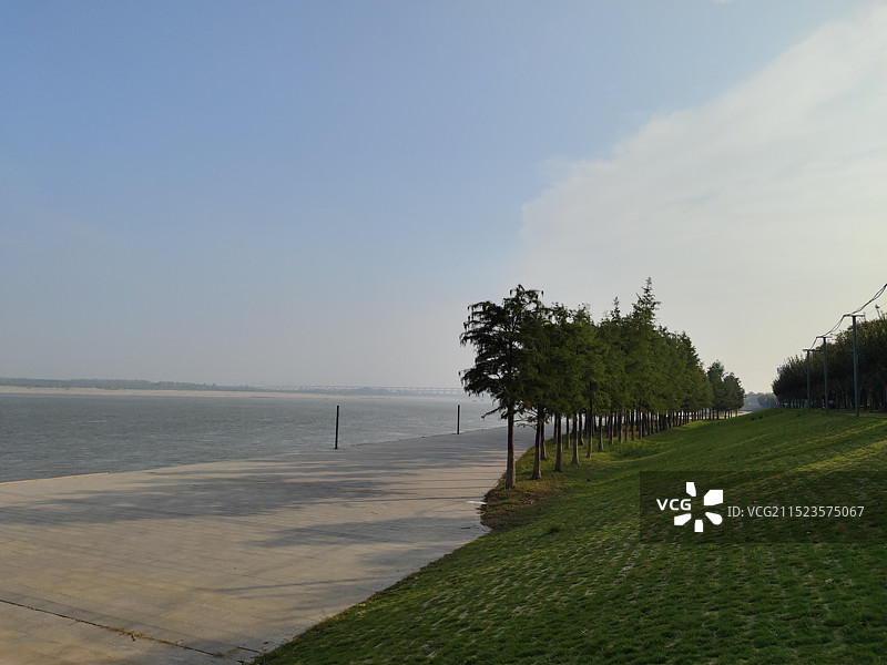 武汉青山江滩  漫步长江边的杉林小径图片素材