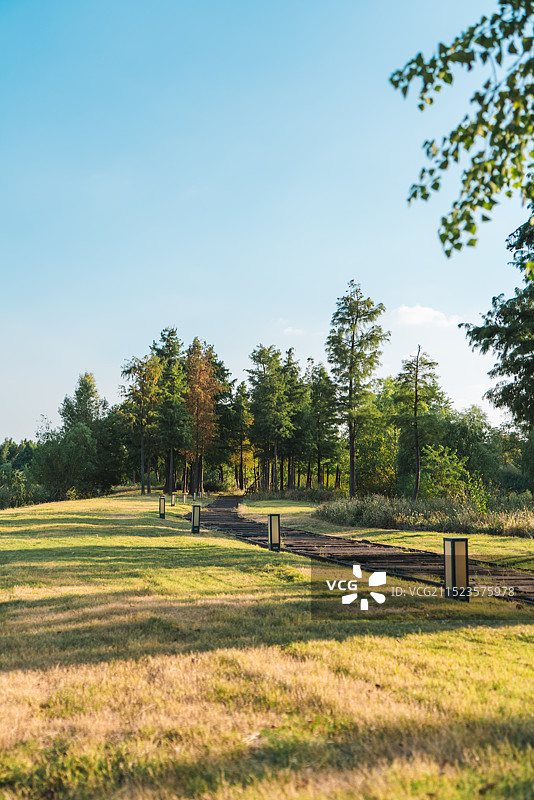 蓝天下的草原树林风景图片素材