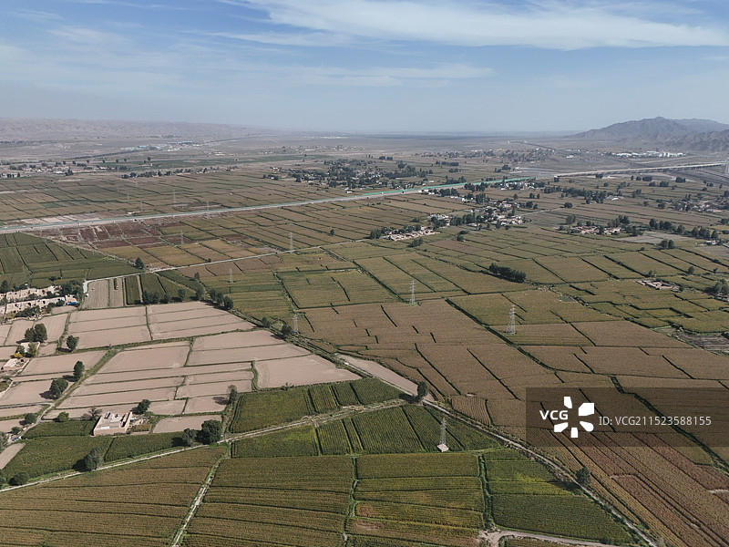 航拍玉米地，地里的输电铁塔很就像坐标一样图片素材