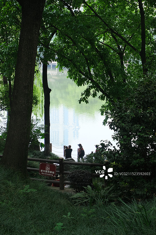 成都人民公园绿树湖水城市风景休闲生活图片素材