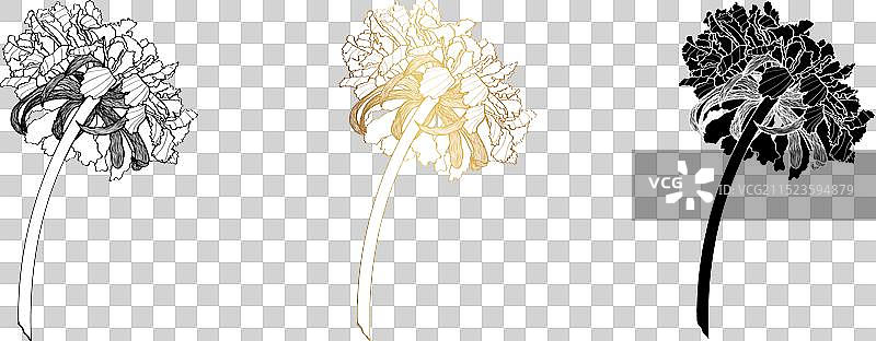 蓝盆花线条图片素材