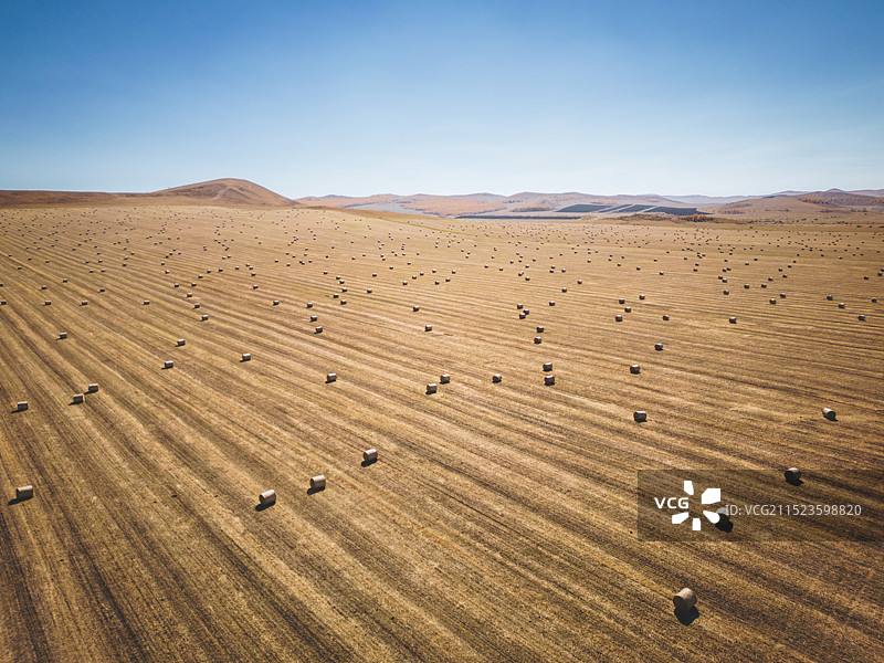 干草卷图片素材