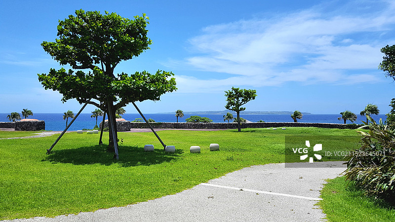 日本冲绳县国头郡本部町，盛夏的海洋博公园图片素材
