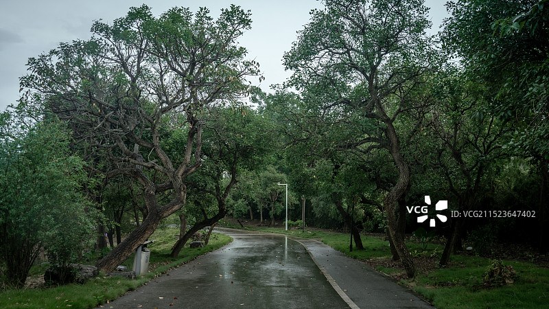 崇左石景林·园博园图片素材