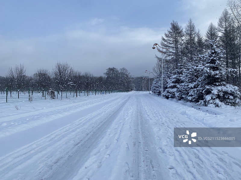 雪天的东北图片素材