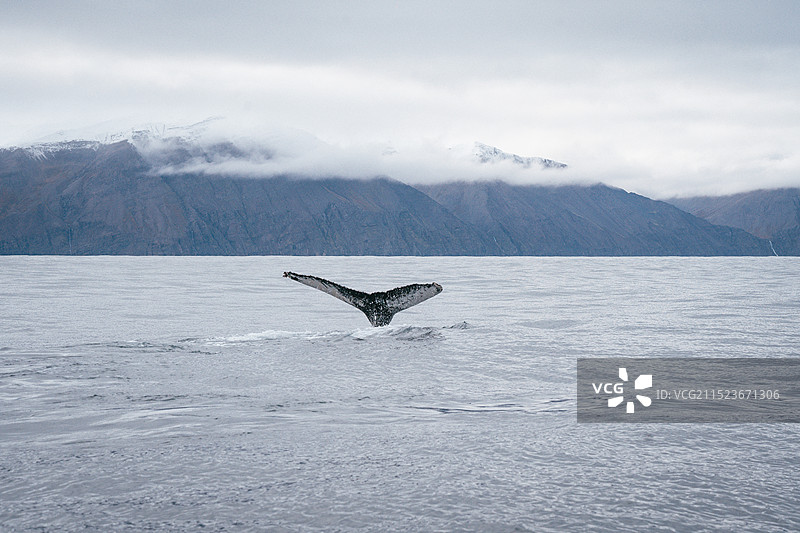 在湖萨湾感受北大西洋的纯净秋天图片素材