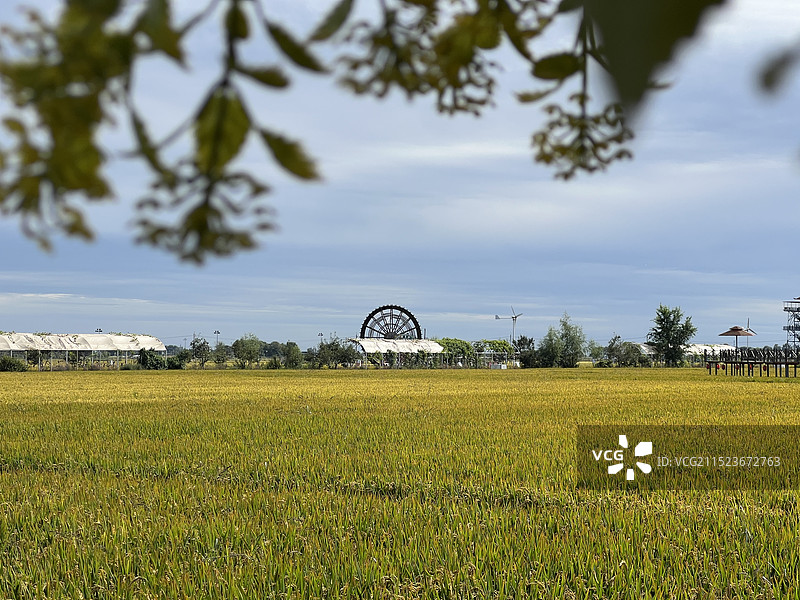 沈阳：稻梦空间附近的景色图片素材