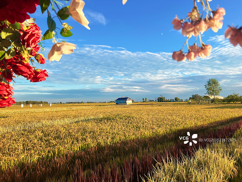 沈阳：稻梦空间附近的景色图片素材