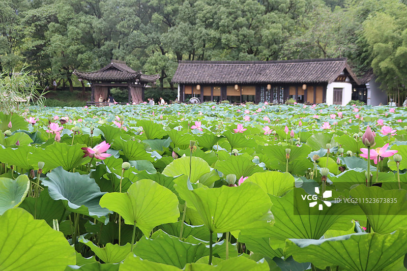 绍兴市兰亭景区图片素材