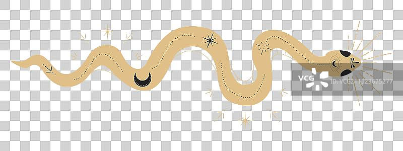 星体蛇神秘塔罗牌或纹身图片素材