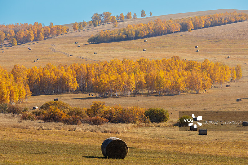 大兴安岭的秋天图片素材