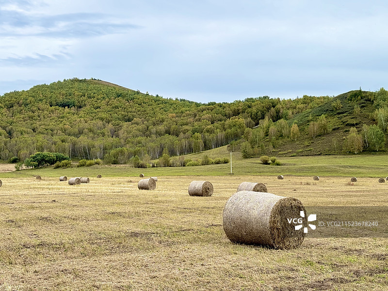 桦木沟的初秋图片素材