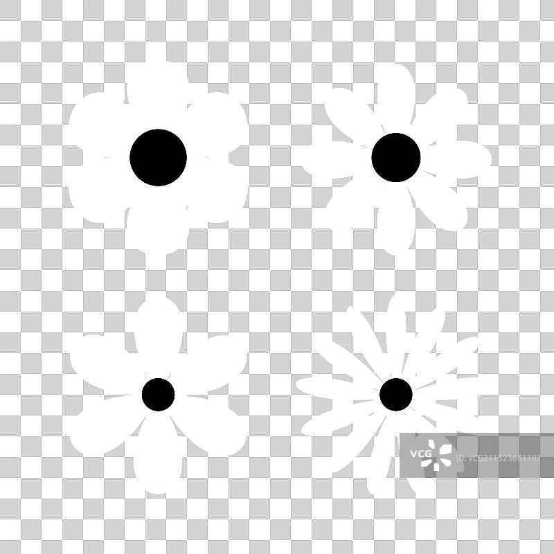 四个白色雏菊花朵线条集合图片素材