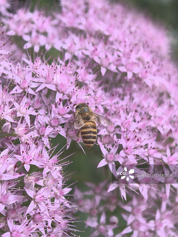 公园一瞥图片素材