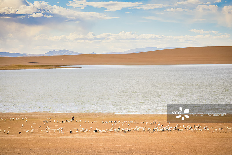 牧羊人图片素材