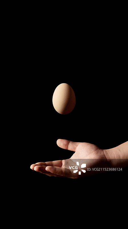 鸡蛋图片素材