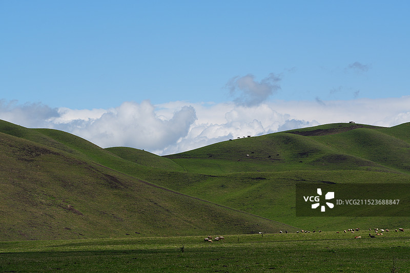 新疆自驾-路上的风景图片素材