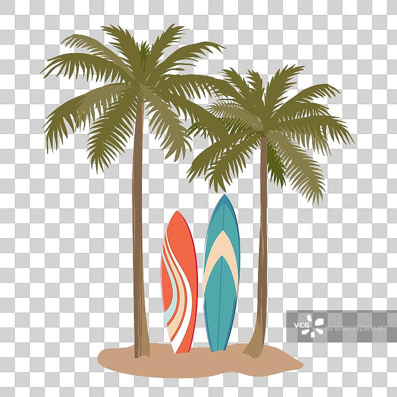 棕榈树和冲浪板图片素材