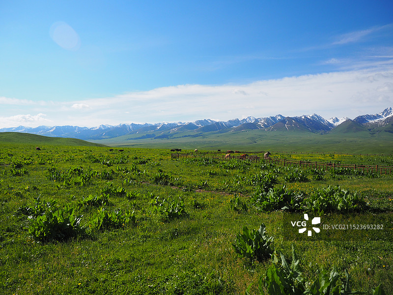 P6030203图片素材