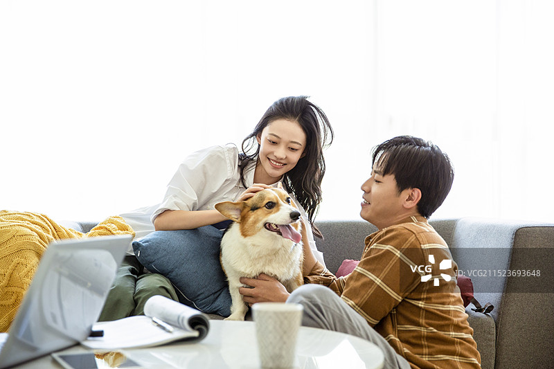 年轻情侣在客厅和小狗玩耍图片素材