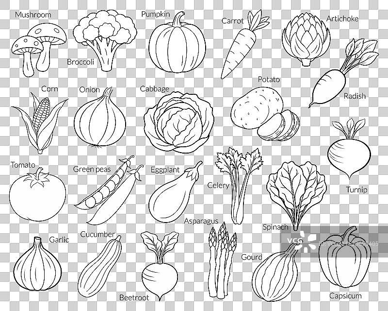 涂鸦风格手绘蔬菜套装图片素材