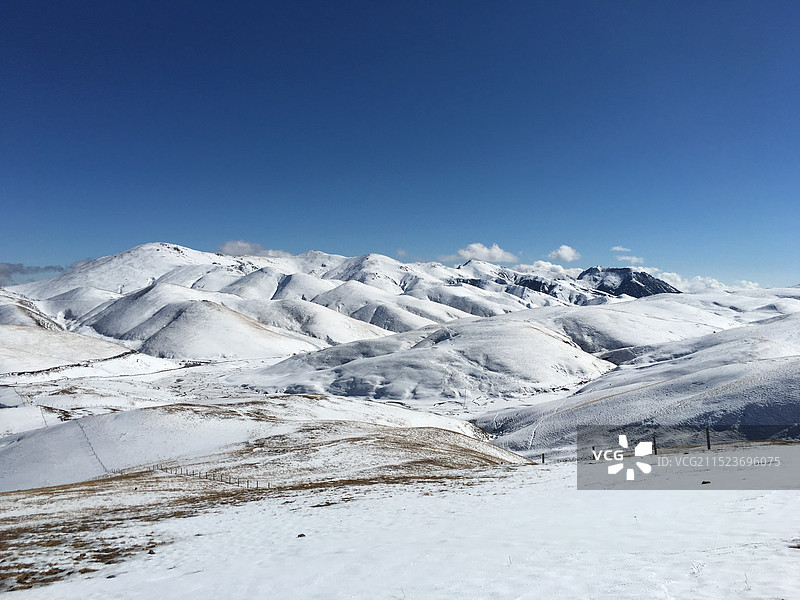 云南 曲靖 会泽 大海草山 雪景图片素材