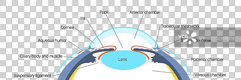 眼睛里的液体图片素材