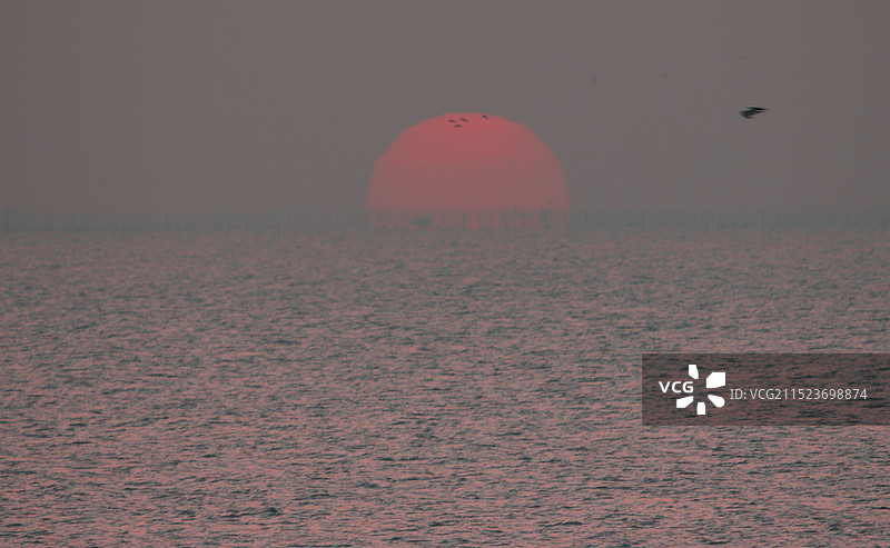 旭日东升图片素材