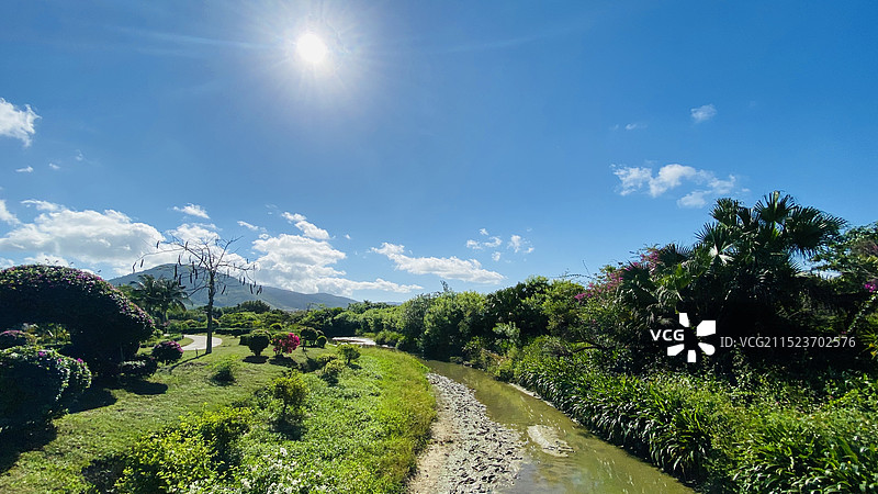 三亚亚龙湾国际玫瑰谷图片素材