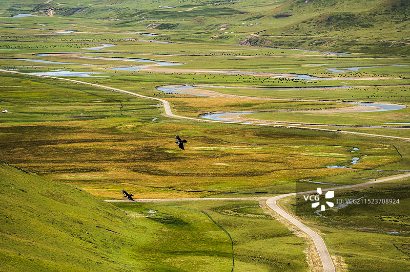 蓝天白云下的甘南阿坝千湾湿地——漫则塘自然保护区风光图片素材