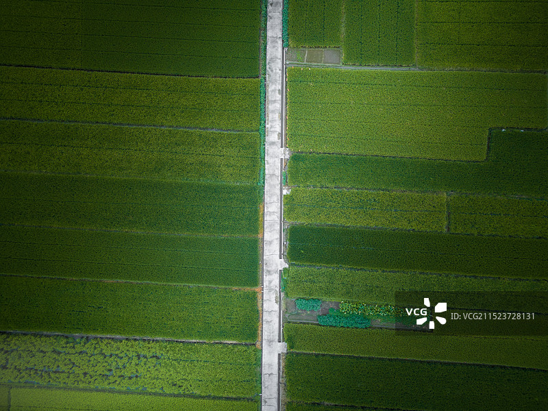 富阳农田图片素材