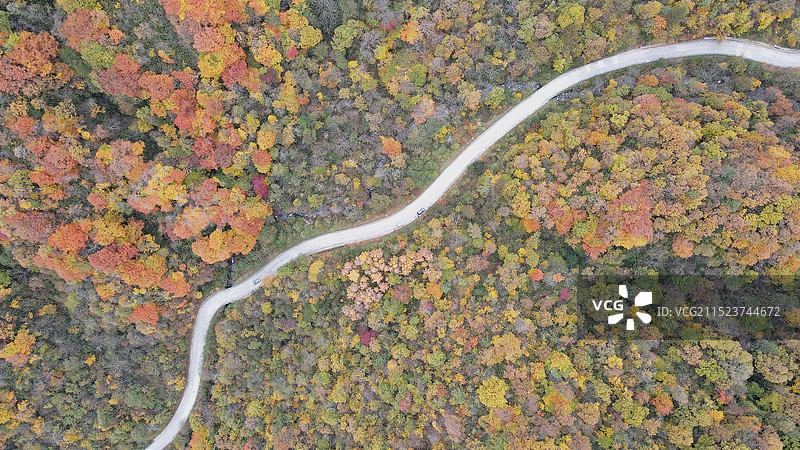 四川光雾山图片素材