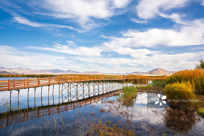 北疆阿勒泰可可托海可可苏里湖湿地秋天秋色图片素材