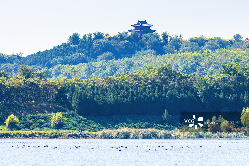 滹沱河正定段风光图片素材