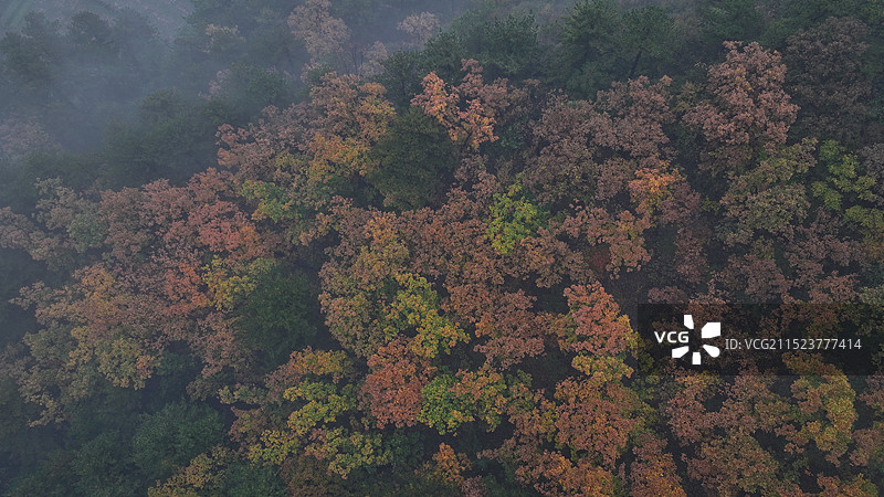 北京怀柔区箭扣长城秋季浓雾航拍图片素材