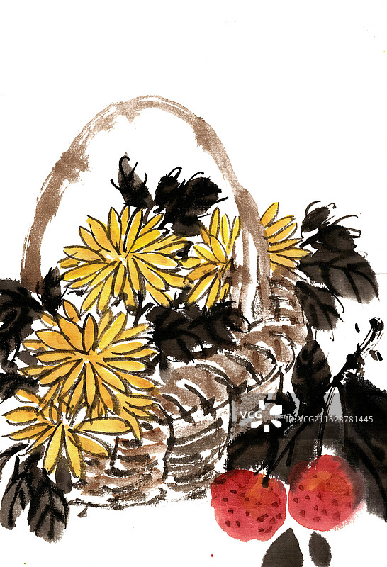 菊花与荔枝图片素材